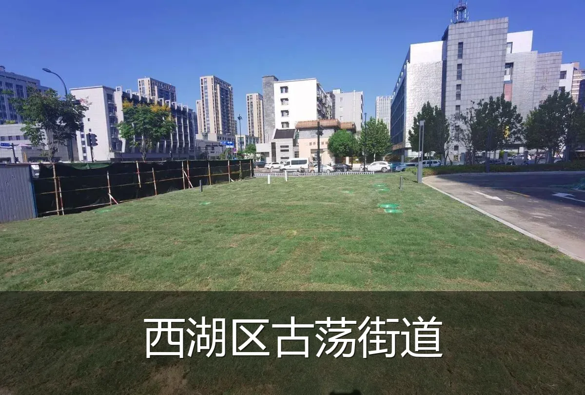 西湖区古荡街道