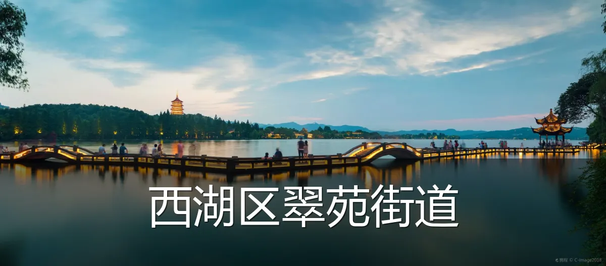 西湖区翠苑街道