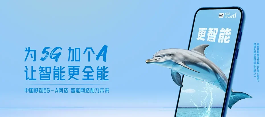 西湖区西湖区双浦镇 移动宽带